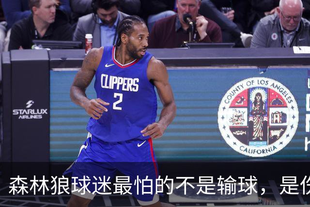 森林狼球迷最怕的不是输球，是伤病：一次投票投出了真心话