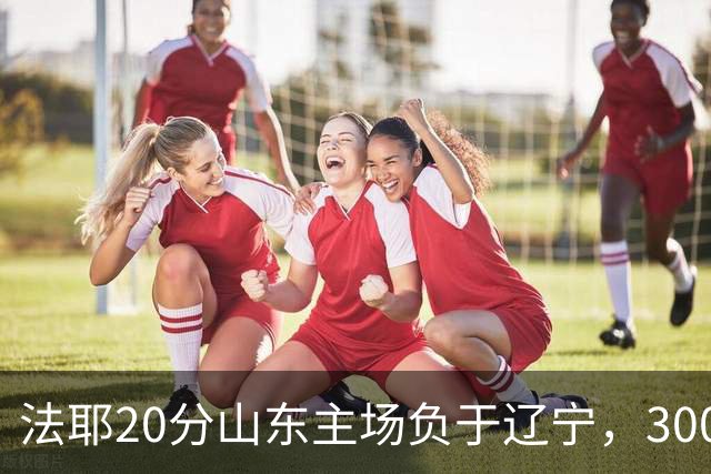 法耶20分山东主场负于辽宁，3000万先生王岚嵚0分首秀扑街