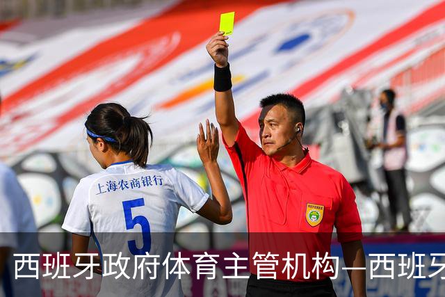 西班牙政府体育主管机构—西班牙体育理事会主席公开要求西甲主席特瓦斯，向皇马道歉