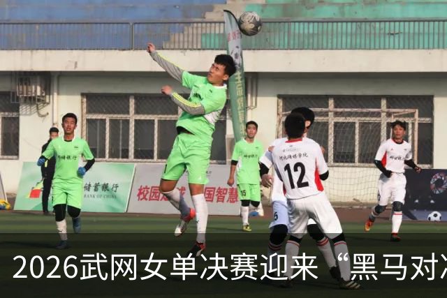 2026武网女单决赛迎来“黑马对决”，斯瓦泰克波兰德比落败，赫瓦林斯卡将与卡塔尔争冠